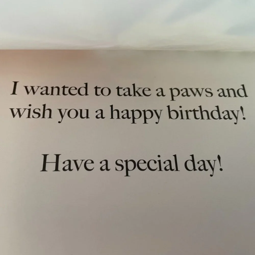 10 Cute Cuddly Cats & Dogs Cards, with matching print envelopes, 1 notebook